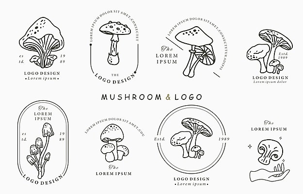 EPS 해외이미지 손 라인일러스트 일러스트 단면 프레임 신체부위 세트 버섯 다양 원형 심볼 라인아트 해외일러스트 도형 선 다수 사람 파일형식 벡터 이미지허브