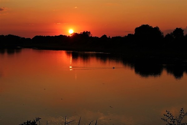 포토 JPG 해외이미지 나무 공원 호수 자연 사람없음 야외 빨간색 강 태양 검은색 일몰 저녁 해외포토 자연요소 식물 공공시설 컬러 노을 야간 생태계 파일형식 이미지허브