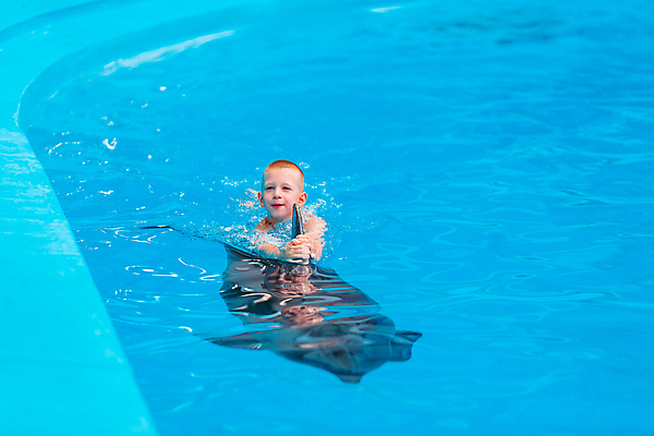 포토 JPG 해외이미지 동물 백인 행복 야생동물 어린이 바다 장난 통신 포유류 포옹 자연 놀이 휴가 휴식 함께함 건강 어류 한명 사람 소년 치료 물 파란색 수영 기쁨 터치 고래 돌고래 다이빙 꼬리 테라피 해외포토 자연요소 서양인 1 남자 감정 컬러 컨셉 의학 안기 뷰티 수중동물 수상스포츠 생태계 수중스포츠 파일형식 이미지허브