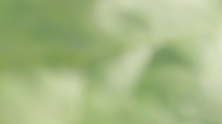 포토 JPG 해외이미지 나무 식물 템플릿 배너 계절 지구 백그라운드 잎 자연 벽지 추상 휴식 경사 사람없음 그래픽 초록색 빛 햇빛 태양 환경 정원 봄 에너지 흰색 신선 매끈함 소프트포커스 질감 보케 부드러움 개발 바이오 블러 생태학 그리너리 효과 해외포토 자연요소 교육 컬러 컨셉 무늬 촬영기법 감각 생태계 파일형식 트랜드컬러 이미지허브