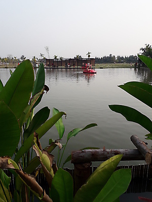 포토 JPG 해외이미지 나무 식물 구름 계절 공원 꽃 아시아 호수 여행 백그라운드 밭 오렌지 태국 자연 하늘 아침 휴가 열대 연꽃 그림자 풍경 사람없음 야외 물 여름 파란색 빛 강 햇빛 태양 일출 정원 일몰 새벽 벚꽃 연못 저녁 숲 내추럴 해외포토 주간 자연요소 공공시설 나라 컬러 농업 과일 노을 야간 생태계 파일형식 이미지허브