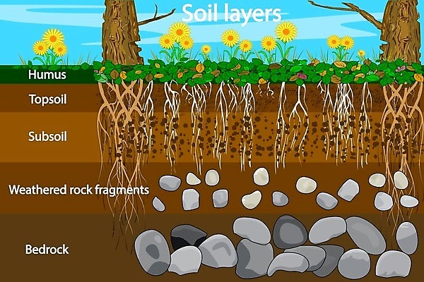 EPS 해외이미지 나무 식물 교육 꽃 지구 모래 과학 십자가 농업 일러스트 부분 자연 날씨 풍경 그래픽 가로 환경 정원 흙 인포그래픽 수확 바위 플랫 계획 만화 유기농 원예 뿌리 먼지 문제 지하 층 내추럴 땅바닥 지질학 막 전경 해외일러스트 웰빙 산업 컨셉 바닥 취미 돌_바위 생태계 파일형식 벡터 탑뷰 이미지허브