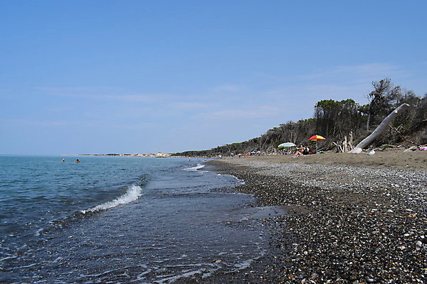 포토 JPG 해외이미지 나무 유럽 바다 자연 휴가 풍경 해변 사람없음 야외 목재 여름 태양 이탈리아 안개 소나무 황무지 분위기 숲 지중해 토스카나 해외포토 자연요소 식물 계절 나라 컨셉 재료 날씨 생태계 파일형식 이미지허브