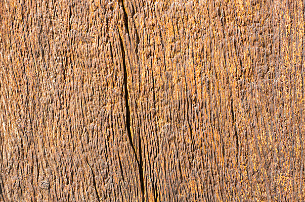 포토 JPG 해외이미지 백그라운드 패턴 자연 추상 사람없음 목재 갈색 거친 널 낟알 질감 내추럴 그런지 수목 옛날 카피스페이스 해외포토 나무 컬러 무늬 재료 공백 생태계 파일형식 이미지허브