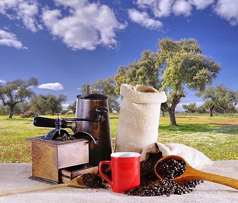 포토 JPG 해외이미지 사람없음 카페 아로마 해외포토 상점 파일형식 이미지허브