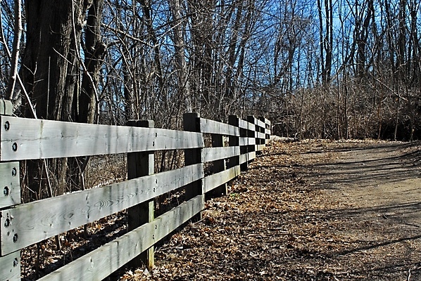 포토 JPG 해외이미지 나무 식물 계절 공원 길 잎 자국 자연 풍경 사람없음 야외 목재 파란색 울타리 갈색 환경 맑음 봄 산책 하이킹 성장 가을 나뭇가지 경계선 시골 보호 숲 오솔길 보안 오르막 내추럴 방법 옛날 해외포토 공공시설 선 컬러 컨셉 재료 레저 날씨 휴식 안전 담장 경계 생태계 파일형식 이미지허브