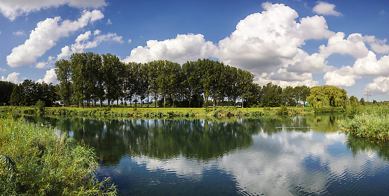 포토 JPG 해외이미지 나무 구름 자연 하늘 갈대 풍경 사람없음 초록색 물 파란색 강 반사 평화 시골 지역 해외포토 자연요소 식물 컬러 컨셉 생태계 파일형식 이미지허브