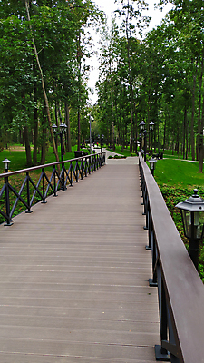 포토 JPG 해외이미지 나무 식물 계절 공원 길 여행 백그라운드 잎 자국 자연 하늘 풍경 사람없음 야외 목재 초록색 물 여름 빛 강 환경 정원 봄 산책 하이킹 젖음 시골 신선 숲 오솔길 열대우림 질감 내추럴 건너기 방법 해외포토 자연요소 공공시설 컬러 재료 모션 레저 휴식 생태계 파일형식 이미지허브