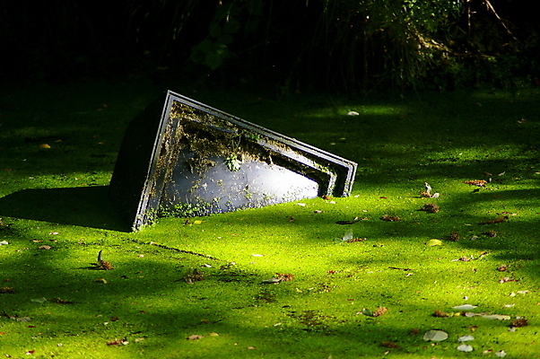 포토 JPG 해외이미지 자연 이끼 사람없음 초록색 물 환경 스크린 모니터 텔레비전 손상 장비 시골 해조류 던지기 쓰레기 폐기물 버리기 싱크대 수로 운하 한조각 낭비 구식 깨짐 침몰 현실 해외포토 자연요소 1 컬러 컨셉 모션 전자제품 컴퓨터 해양식물 개수대 생태계 파일형식 이미지허브