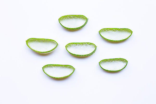 포토 JPG 해외이미지 스튜디오촬영 단면 실내 사람없음 흰배경 알로에 해외포토 식물 백그라운드 내부 흰색 파일형식 이미지허브