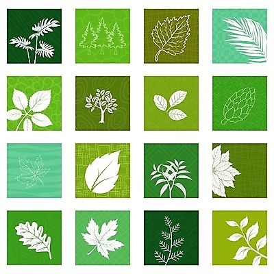 EPS 해외이미지 나무 식물 디자인 계절 꽃 선 백그라운드 잎 꽃무늬 일러스트 자연 추상 장식 초록색 세트 환경 정원 봄 흰색 신선 플랫 수집 심볼 사인 에코 유기농 생태학 엘리먼트 해외일러스트 웰빙 교육 컬러 무늬 생태계 파일형식 벡터 이미지허브