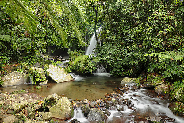 포토 JPG 해외이미지 나무 식물 계절 공원 길 여행 백그라운드 잎 모션 자연 풍경 사람없음 야외 목재 초록색 물 여름 관광지 강 태양 환경 계곡 봄 폭포 젖음 흐름 가을 바위 신선 개울 떨어짐 숲 열대우림 즐거움 암초 내추럴 해외포토 자연요소 공공시설 감정 컬러 컨셉 재료 돌_바위 생태계 파일형식 이미지허브