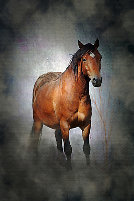 포토 JPG 해외이미지 나무 동물 종이 백그라운드 포유류 벽지 추상 수채화 미술 풍경 사람없음 컬러풀 페인트 안개 닫기 고민 질감 문서 스크래치 조랑말 그런지 뿌연 파스텔톤 효과 해외포토 식물 감정 컬러 무늬 모션 날씨 문화예술 말_동물 파일형식 이미지허브