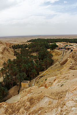 포토 JPG 해외이미지 나무 식물 공원 모래 여행 아프리카 자연 산 건조 손바닥 풍경 사람없음 야외 초록색 여름 환경 사막 바위 언덕 사암 내추럴 오아시스 울퉁불퉁 튀니지 해외포토 손 계절 공공시설 나라 컬러 돌_바위 생태계 파일형식 이미지허브