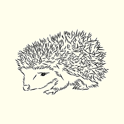 포토 JPG 해외이미지 동물 손 디자인 실루엣 야생동물 백그라운드 일러스트 포유류 자연 추상 흑백 동물원 미술 사람없음 야외 그래픽 반려동물 장난감 연필 펜 검은색 흰색 거친 가시 우아함 낙서 숲 작음 만화 스케치 그림 날카로움 윤곽 판화 주둥이 스파이크 찌르기 고슴도치 고립 진짜 스타일 현실 해외일러스트 컬러 컨셉 무늬 모션 문화예술 학용품 촬영기법 신체부위 필기구 크기 생태계 파일형식 이미지허브