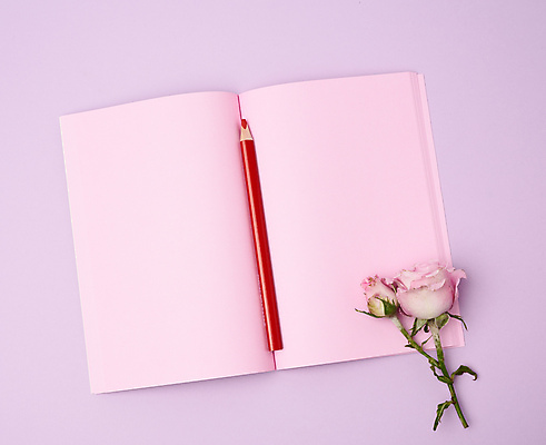 포토 JPG 해외이미지 꽃 색연필 사람없음 장미 공책 오브젝트 비어있는 해외포토 식물 문구용품 학용품 파일형식 이미지허브