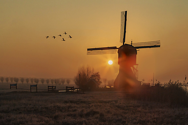 포토 JPG 해외이미지 전통 실루엣 여행 백그라운드 오렌지 건축양식 자연 조류 하늘 바람 풍경 사람없음 건물 물 파란색 강 태양 일출 힘 일몰 풍차 시골 역사 네덜란드 운하 장면 방앗간 옛날 해외포토 자연요소 동물 건축물 건축 유럽 컬러 과일 날씨 촬영기법 노을 생태계 파일형식 이미지허브