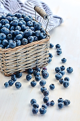 포토 JPG 해외이미지 열매 음식 백그라운드 다이어트 과일 자연 디저트 건강 사람없음 목재 파란색 바구니 봄 신선 달콤 맛 정상 유기농 블루베리 날것 내추럴 숙성 채식주의자 해외포토 나무 식물 웰빙 계절 컬러 컨셉 재료 생태계 채식 파일형식 이미지허브