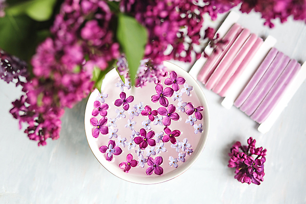 포토 JPG 해외이미지 식물 계절 꽃잎 꽃 행복 꽃다발 백그라운드 꽃무늬 사람없음 장식 물 컬러풀 정원 보라색 스파 봄 벚꽃 나뭇가지 개화 행운 다발 제비꽃 향수 향기 아로마 5 라일락 카피스페이스 해외포토 자연요소 나무 감정 컬러 컨셉 무늬 숫자 화장품 공백 냄새 파일형식 이미지허브