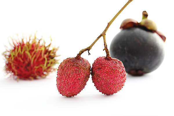 포토 JPG 해외이미지 실내 사람없음 아웃포커스 열대과일 흰배경 람부탄 리치 망고스틴 해외포토 백그라운드 과일 촬영기법 내부 흰색 파일형식 이미지허브