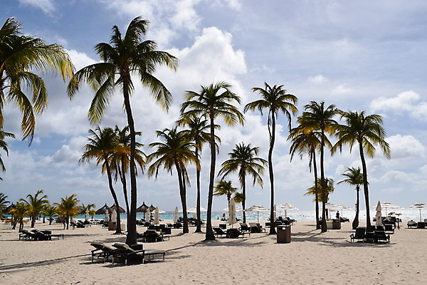 포토 JPG 해외이미지 나무 모래 파도 바다 섬 여행 백그라운드 자연 하늘 휴가 멕시코 손바닥 풍경 사람없음 야외 초록색 물 여름 파란색 태양 일출 맑음 침묵 일몰 흰색 만 휴양지 하와이 발리 보라카이 쿠바 세이셸 몰디브 바하마 이국적 자메이카 터키석 파라다이스 플로리다 해외포토 자연요소 식물 손 계절 아시아 컬러 북아메리카 아프리카 날씨 필리핀 노을 미국 소리 장소 중앙아메리카 보석 생태계 인도네시아 파일형식 이미지허브