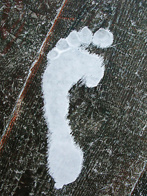 포토 JPG 해외이미지 모양 계절 여행 이동 겨울 신체 해부 맨발 발 근육 날씨 생물 건강 사람 사람없음 신체부위 걷기 추위 발자국 심볼 서리 발가락 양발 눈내림 겨울풍경 해외포토 컨셉 의학 자국 모션 눈_날씨 풍경 파일형식 이미지허브