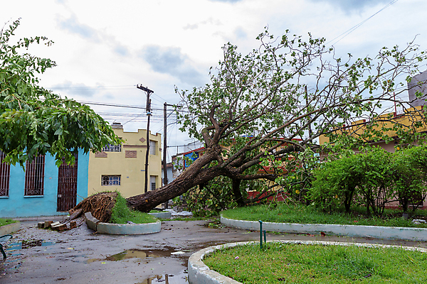 포토 JPG 해외이미지 나무 도로 잎 자연 바람 날씨 거리 사람없음 초록색 여름 손상 가을 흰색 나뭇가지 죽음 떨어짐 파편 숲 장애물 질감 뿌리 폭풍 쿠바 내추럴 종료 깨짐 마이애미 심각 옛날 허리케인 플로리다 해외포토 자연요소 식물 계절 길 컬러 컨셉 교통시설 미국 중앙아메리카 자연재해 생태계 파일형식 이미지허브