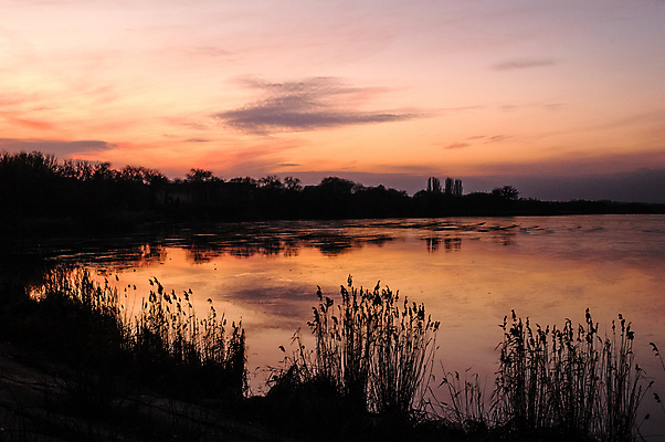 포토 JPG 해외이미지 나무 식물 공원 호수 여행 백그라운드 오렌지 자연 하늘 아침 휴식 풍경 사람없음 야외 목재 물 빛 강 햇빛 태양 반사 노란색 일출 환경 침묵 일몰 새벽 연못 저녁 숲 홍수 허브 오로라 내추럴 삼림지대 해외포토 주간 자연요소 공공시설 컬러 컨셉 과일 재료 자연현상 노을 소리 야간 자연재해 생태계 파일형식 이미지허브