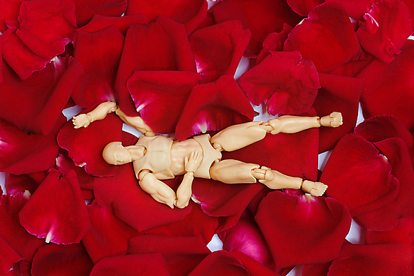 포토 JPG 해외이미지 식물 디자인 기념일 꽃잎 꽃 백그라운드 꽃무늬 패턴 자연 벽지 프레임 발렌타인데이 사랑 사람없음 장식 빨간색 세트 장미 벚꽃 신선 그룹 닫기 정상 질감 내추럴 해외포토 감정 컬러 무늬 모션 데이이벤트 이벤트 생태계 파일형식 이미지허브