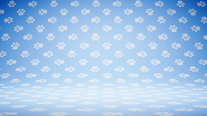 포토 JPG 해외이미지 모양 템플릿 벽 백그라운드 컨셉 패턴 일러스트 벽지 바닥 사람없음 파란색 반려동물 세트 3D 우주 고양이 가축 공백 방 무대 흰색 개 발자국 심볼 사인 만들기 장면 해외일러스트 동물 컬러 무늬 포유류 자국 모션 디지털합성 파일형식 이미지허브