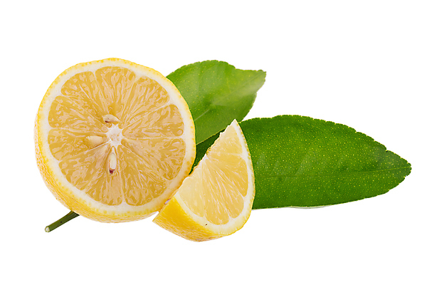 포토 JPG 해외이미지 음식 조각 백그라운드 잎 과일 재료 부분 자연 귤 건강 사람없음 초록색 노란색 주스 흰색 신선 원형 자르기 먹기 레몬 슬라이스 고립 넘어짐 숙성 해외포토 도형 식물 음료 컬러 모션 생태계 파일형식 이미지허브