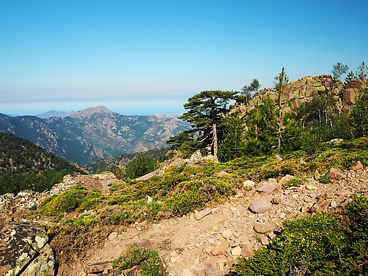 포토 JPG 해외이미지 나무 구름 공원 꽃 유럽 바다 여행 자연 하늘 휴가 산 파노라마 풍경 사람없음 야외 초록색 여름 파란색 환경 계곡 맑음 트래킹 하이킹 프랑스 바위 소나무 숲 지중해 고도 알프스 장면 내추럴 전국 절정 코르시카 해외포토 자연요소 식물 계절 공공시설 나라 컬러 섬 레저 날씨 촬영기법 돌_바위 생태계 파일형식 이미지허브