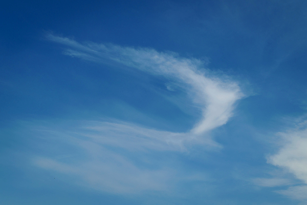 포토 JPG 해외이미지 구름 백그라운드 패턴 모션 자연 벽지 하늘 바람 날씨 추상 풍경 사람없음 야외 여름 파란색 빛 햇빛 태양 환경 침묵 봄 활발 자유 흰색 분위기 질감 장면 천국 내추럴 깊이 몽환 해외포토 자연요소 계절 컬러 컨셉 무늬 소리 생태계 파일형식 이미지허브