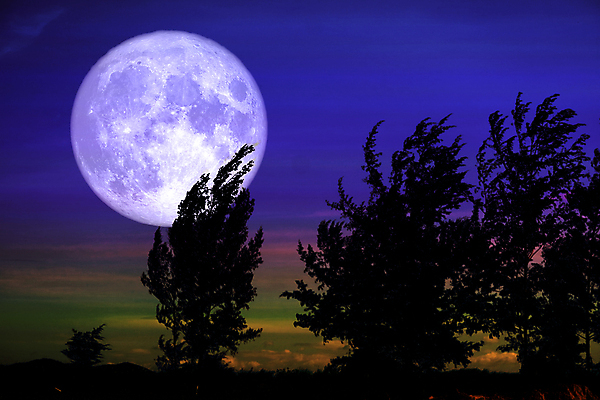 포토 JPG 해외이미지 나무 식물 구름 실루엣 분홍색 과학 백그라운드 밭 자연 하늘 손바닥 사람없음 빨간색 빛 우주 어둠 침묵 황혼 새벽 껍질 달 혈액 벌레 야간 저녁 숲 신비 기아 가득함 점성술 마법 까마귀 현상 해외포토 자연요소 손 컬러 곤충 컨셉 농업 조류 촬영기법 소리 일몰 사회이슈 생태계 파일형식 이미지허브