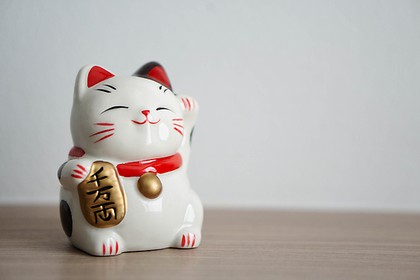 포토 JPG 해외이미지 동물 전통 행복 문화 백그라운드 돈 탁자 따뜻함 동양인 사람없음 목재 빛 태양 일본 고양이 중국 방 흰색 신선 최고 행운 재산 심볼 오브젝트 파스텔톤 팝 미니멀 해외포토 자연요소 나무 감정 아시아 컬러 가구 컨셉 재료 포유류 인종 금융 반려동물 파일형식 이미지허브