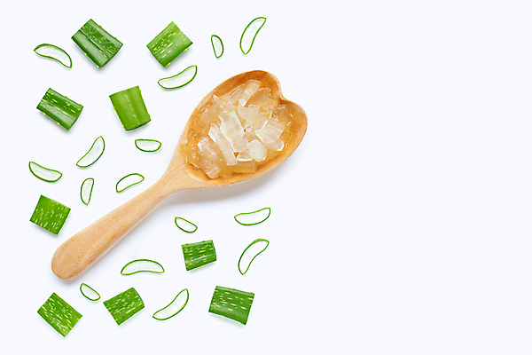 포토 JPG 해외이미지 스튜디오촬영 단면 실내 사람없음 하이앵글 흰배경 알로에 해외포토 식물 뷰포인트 백그라운드 내부 흰색 파일형식 이미지허브