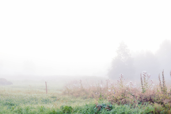 포토 JPG 해외이미지 나무 식물 계절 도로 길 여행 백그라운드 꽃무늬 밭 자국 자연 하늘 아침 날씨 산 주택 풍경 사람없음 야외 초록색 여름 울타리 컬러풀 햇빛 마을 환경 봄 안개 시골 신선 소프트포커스 언덕 내추럴 강렬 방법 웅장함 절정 해외포토 주간 꽃 컬러 무늬 농업 교통시설 촬영기법 건물 담장 태양 생태계 파일형식 이미지허브