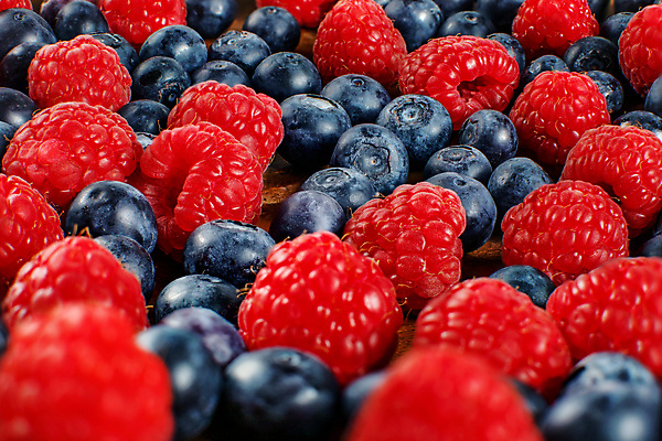 포토 JPG 해외이미지 열매 음식 백그라운드 다이어트 과일 자연 디저트 건강 사람없음 빨간색 파란색 정원 활발 신선 그룹 닫기 달콤 맛 혼합 숲 묘사 유기농 블루베리 날것 산딸기 내추럴 섞기 숙성 채식주의자 많음 해외포토 식물 웰빙 컬러 컨셉 모션 생태계 채식 파일형식 이미지허브