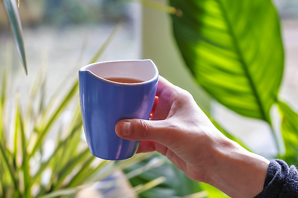 포토 JPG 해외이미지 전통 접시 손 디자인 꽃 길 커피 음료 분홍색 백그라운드 꽃무늬 패턴 자연 아침 휴식 그림자 사람없음 목재 장식 컵 초록색 파란색 빛 컬러풀 유행 맑음 봄 수확 골동품 흰색 신선 시간 뜨거움 도자기 화려 개화 우아함 차 아침식사 은색 찻잔 허브 컵받침 오브젝트 만족 싱글 복고 고립 단절 백자 빅토리아 옛날 해외포토 주간 나무 식물 식기 계절 감정 컬러 컨셉 무늬 농업 재료 날씨 잔 신체부위 식사 받침대 생태계 파일형식 이미지허브
