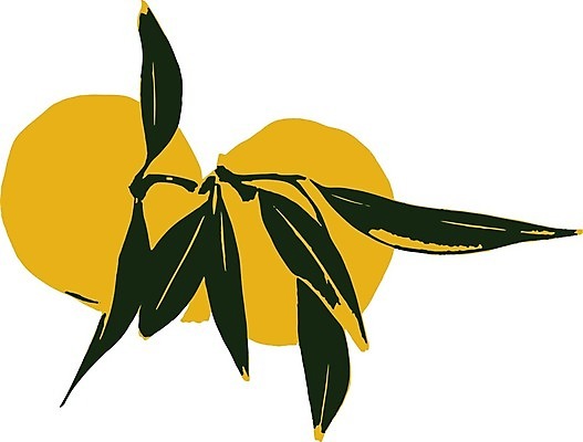 EPS 해외이미지 음식 조각 백그라운드 잎 다이어트 오렌지 과일 일러스트 재료 부분 자연 디저트 귤 건강 초록색 여름 노란색 주스 흰색 신선 원형 그룹 달콤 맛 정상 피부 오브젝트 유기농 날것 내추럴 고립 숙성 채식주의자 해외일러스트 도형 식물 웰빙 계절 음료 컬러 컨셉 신체부위 생태계 채식 파일형식 벡터 이미지허브