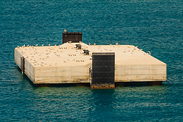 포토 JPG 해외이미지 동물 바다 갈매기 조류 하늘 사람없음 파란색 검은색 흰색 중앙 땅 이륙 그만 해외포토 컬러 파일형식 이미지허브