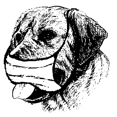 포토 JPG 해외이미지 동물 손 새끼 백그라운드 일러스트 포유류 가면 사람없음 반려동물 머리 우정 미니어처 수확 바이러스 개 강아지 질병 작음 모피 그림 송곳니 고립 기르기 복종 위기 유래 해외일러스트 농업 의학 신체부위 친구 모형 치아 크기 돌봄 파일형식 이미지허브