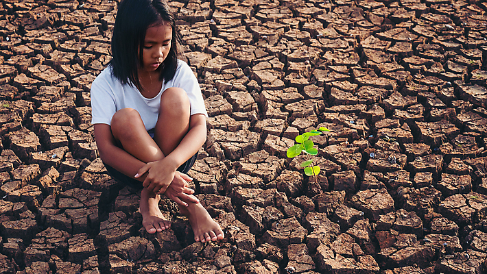 포토 JPG 해외이미지 나무 식물 손 지구 백그라운드 컨셉 손가락 자연 하늘 한명 안전 사람 초록색 물 세계 글로벌 태양 지구본 평화 우주 환경 희망 재활용 행성 성장 잡기 보호 땅 사인 생태계 지구온난화 내추럴 개발 돌봄 생태학 여의주 해외포토 자연요소 1 교육 감정 컬러 모션 신체부위 친환경 기후변화 파일형식 이미지허브