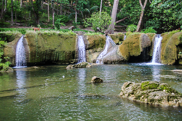 포토 JPG 해외이미지 나무 계절 공원 여행 잎 태국 자연 산 풍경 사람없음 야외 초록색 물 빛 강 여행객 평화 환경 봄 폭포 젖음 흐름 가을 신선 개울 숲 내추럴 전국 해외포토 자연요소 식물 공공시설 아시아 컬러 컨셉 사람 생태계 파일형식 이미지허브
