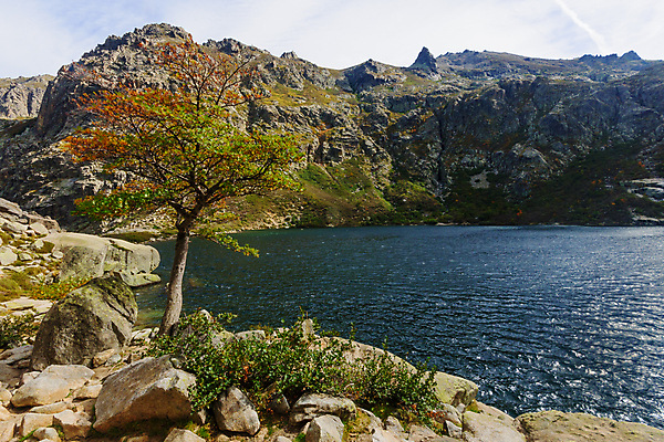 포토 JPG 해외이미지 나무 구름 유럽 호수 여행 자연 하늘 산 풍경 사람없음 야외 물 파란색 강 평화 환경 골짜기 계곡 하이킹 흐름 프랑스 소나무 개울 내추럴 프랑스어 코르시카 해외포토 자연요소 식물 문자 나라 컬러 섬 컨셉 레저 생태계 파일형식 이미지허브
