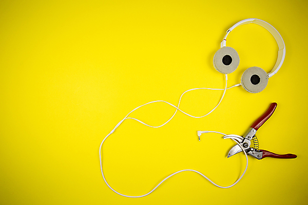 포토 JPG 해외이미지 음악 이어폰 비즈니스 목걸이 추상 사람없음 장식 컴퓨터 검은색 헤드폰 소리 듣기 장비 흰색 코드 MP3 연결 오브젝트 오디오 철사 고립 해외포토 컬러 음향기기 무늬 장신구 모션 문화예술 전자제품 파일형식 이미지허브