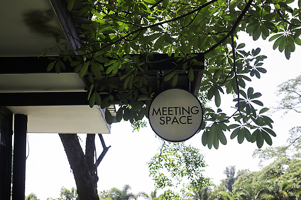 포토 JPG 해외이미지 나무 디자인 컨셉 비즈니스 광고판 사람없음 가로 초록색 사무실 햇빛 공백 작업 작업장 방향 사인 휴양지 마케팅 카피스페이스 해외포토 식물 산업 컬러 알림판 태양 장소 판 파일형식 이미지허브