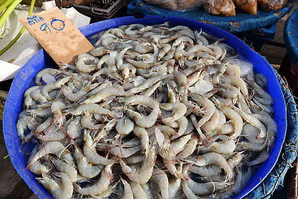 포토 JPG 해외이미지 동물 음식 바다 백그라운드 재료 자연 새우 건강 갑각류 요리 사람없음 물 판매 주방 식당 수중 식사 저녁식사 젖음 추위 흰색 신선 잡기 칵테일 그룹 시장 맛 먹기 해산물 날것 내추럴 점심식사 생식 해외포토 자연요소 컬러 컨셉 모션 주류 상점 생태계 파일형식 이미지허브