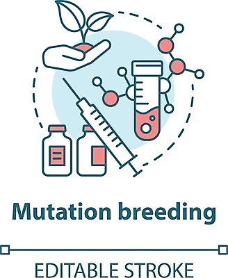 EPS 해외이미지 식물 사람없음 생명공학 생물학 공학 돌연변이 해외일러스트 교육 의학 파일형식 벡터 이미지허브