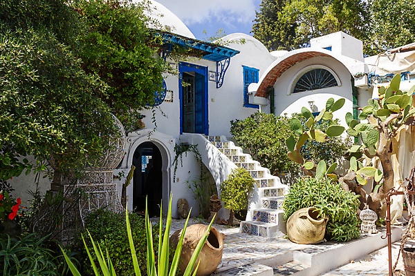 포토 JPG 해외이미지 식물 전통 외관 여행 건축양식 창문 아프리카 거리 주택 사람없음 야외 건물 초록색 여름 파란색 정원 바위 흰색 도시 역사 옛날 튀니지 해외포토 건축물 계절 건축 나라 컬러 돌_바위 파일형식 이미지허브